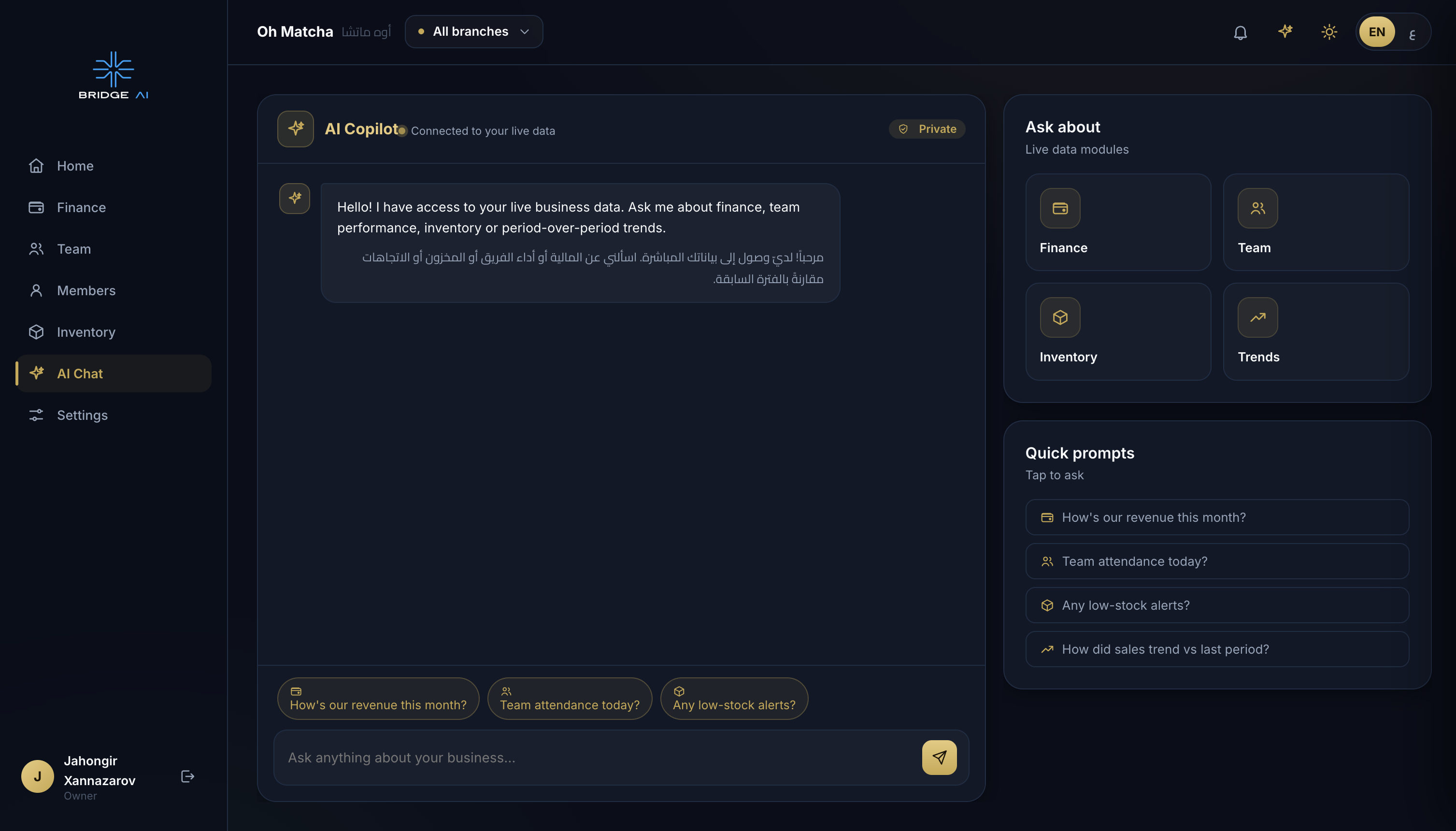 Bridge AI - AI-Powered Business Intelligence Platform for Qatar & MENA - Image 6